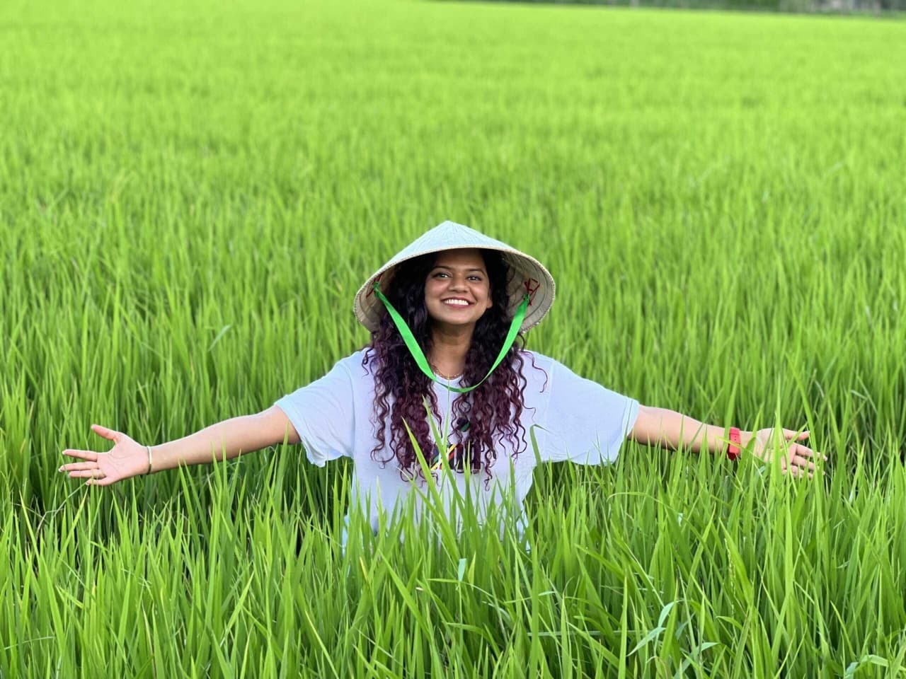 Foreign Tourists’ Impressions of Traveling in Vietnam