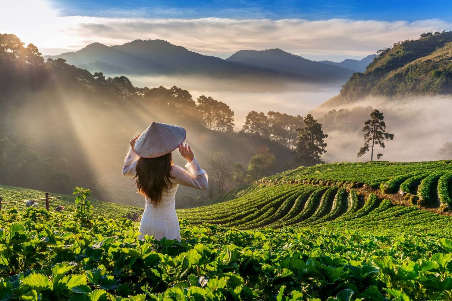 Sapa – The Land of Terraced Rice Fields