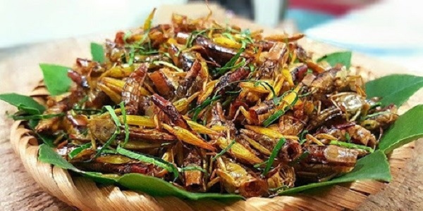 Fried Grasshoppers