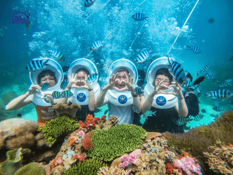 Diving to see coral