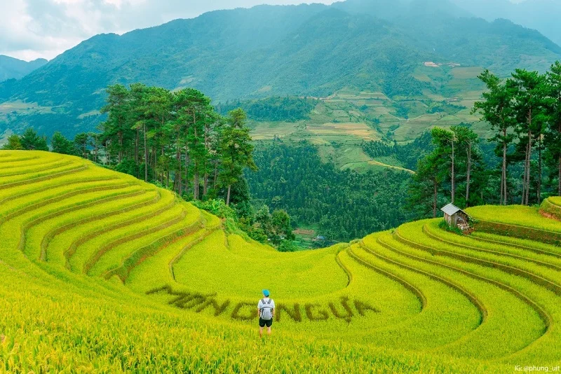 Horseshoe-shaped terraced fields