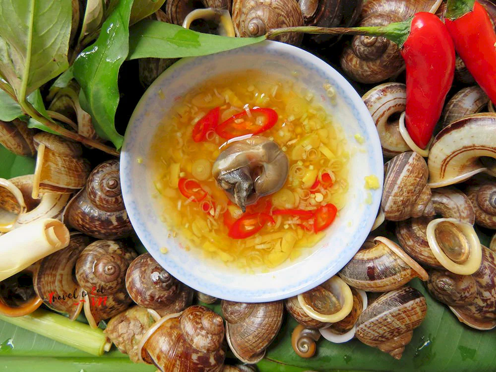 Ninh Binh Mountain Snails