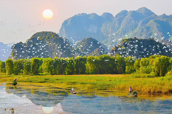 Thung Nham Bird Garden