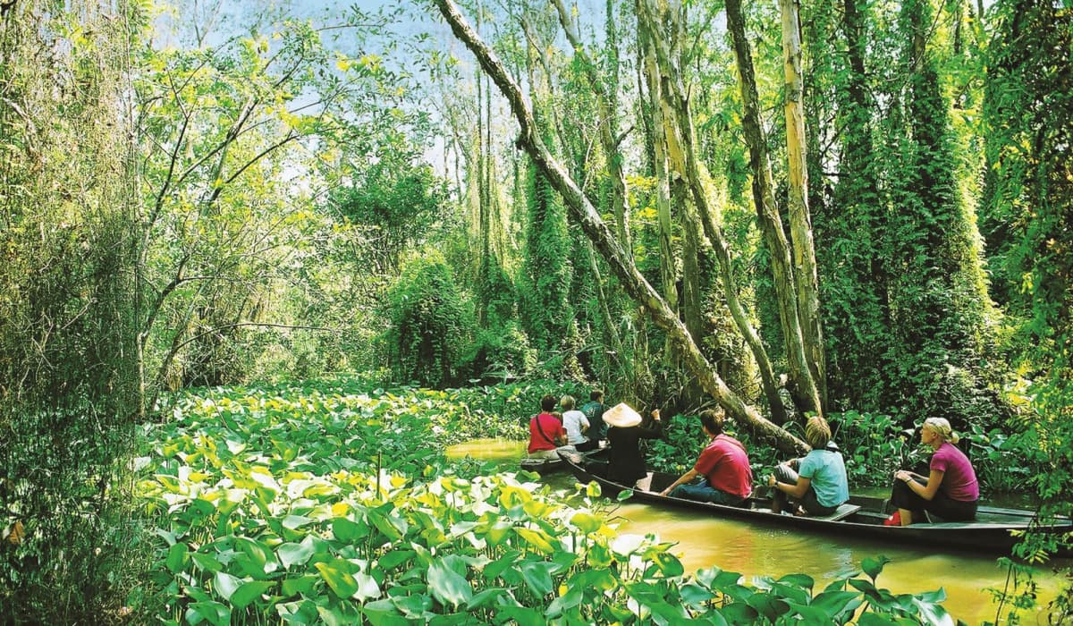 What Is Eco-Tourism and Why Is It Important?