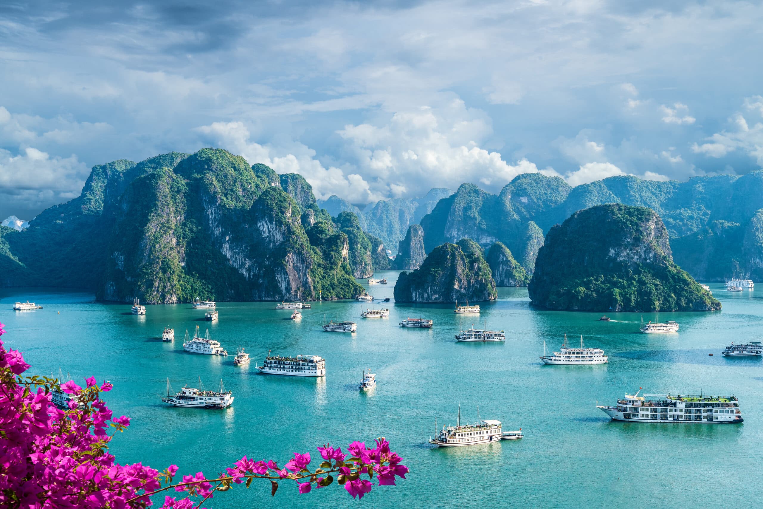 How to Choose a Trusted Online Vietnam Tour Provider