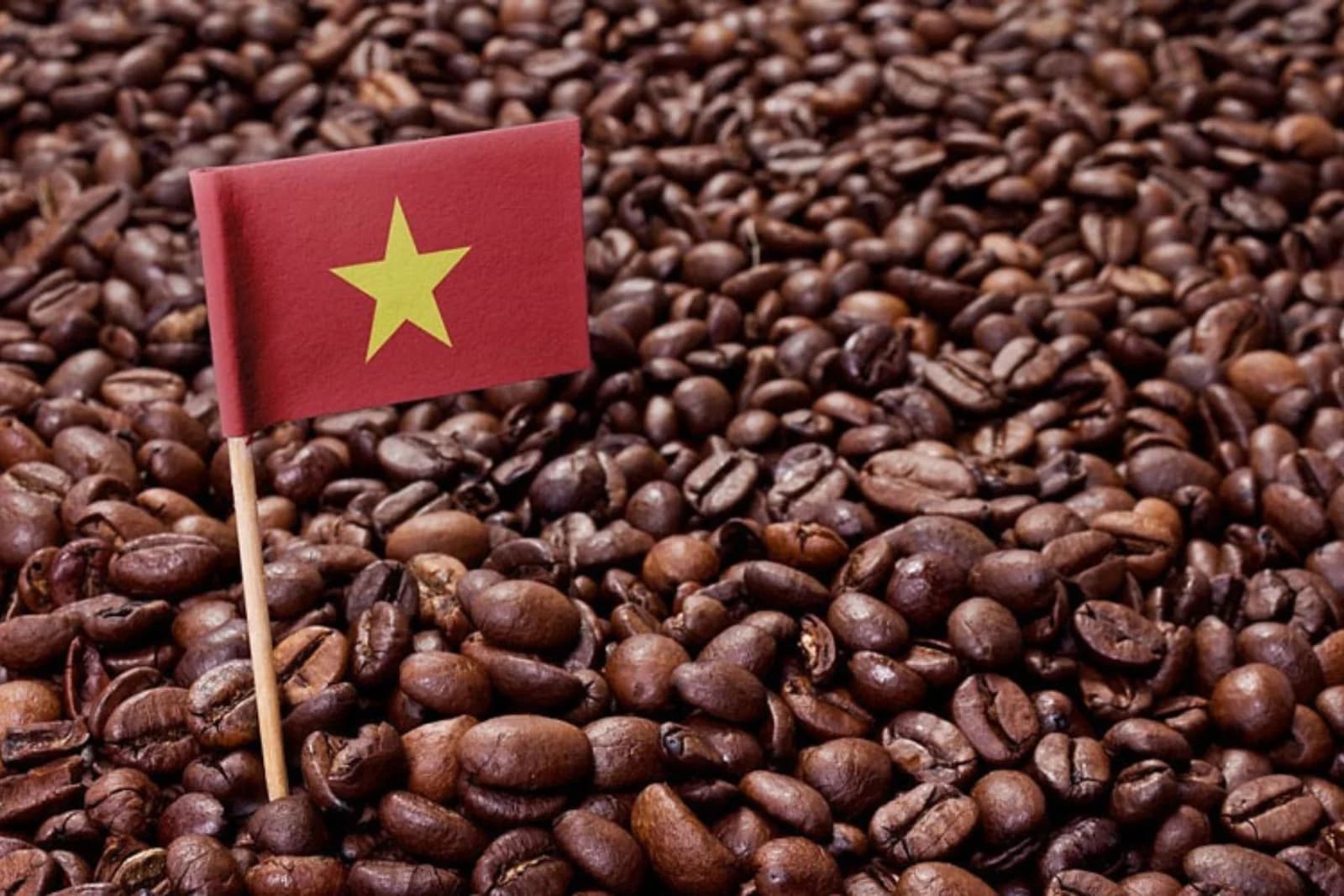 Brewing Methods that Define the Vietnamese Coffee Experience