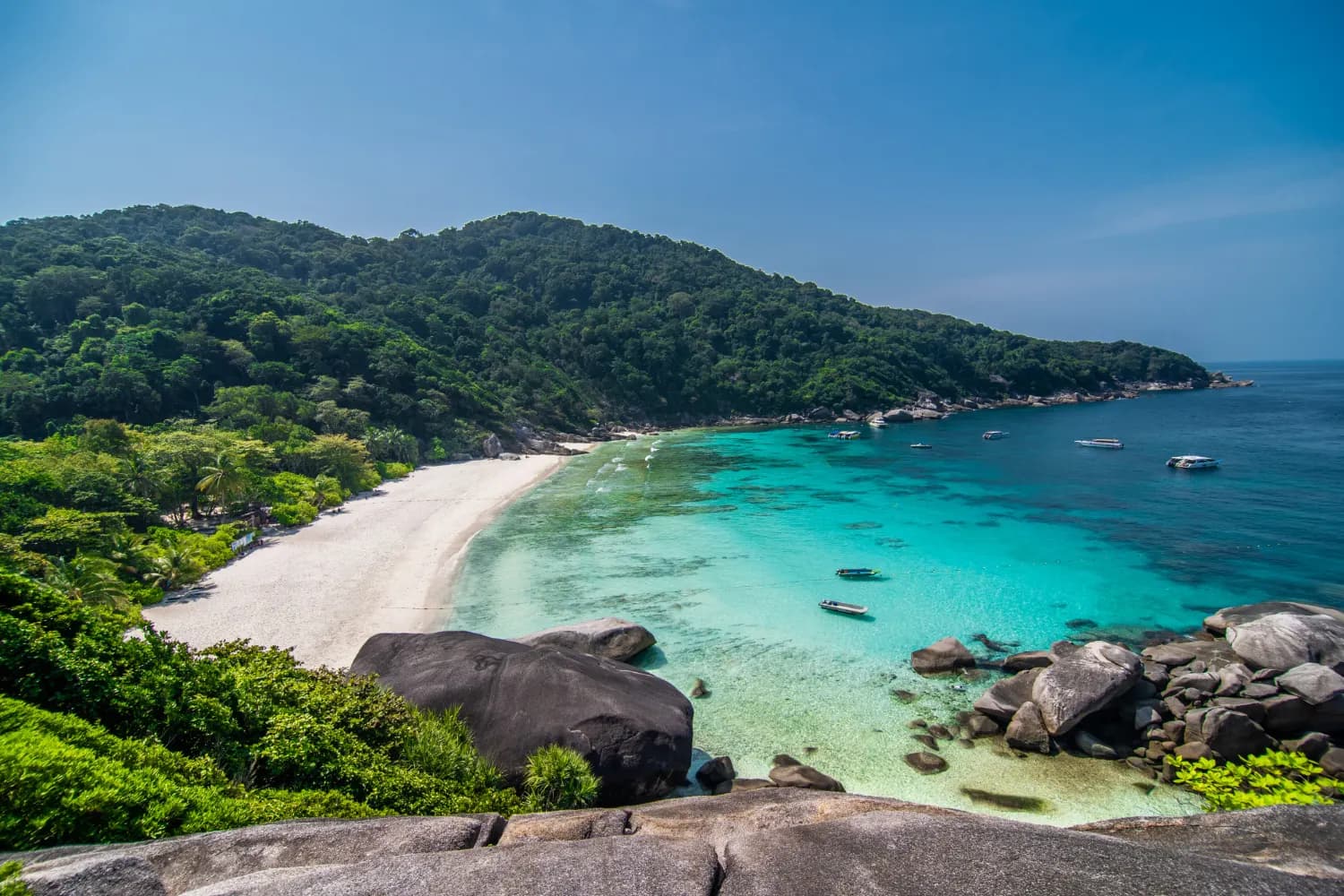Cham Islands Marine Protected Area (Quảng Nam Province)