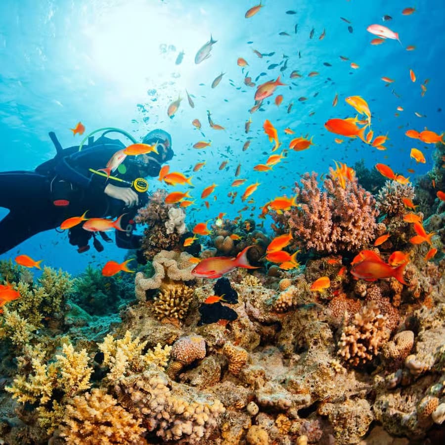 Top Dive Sites in Phu Quoc