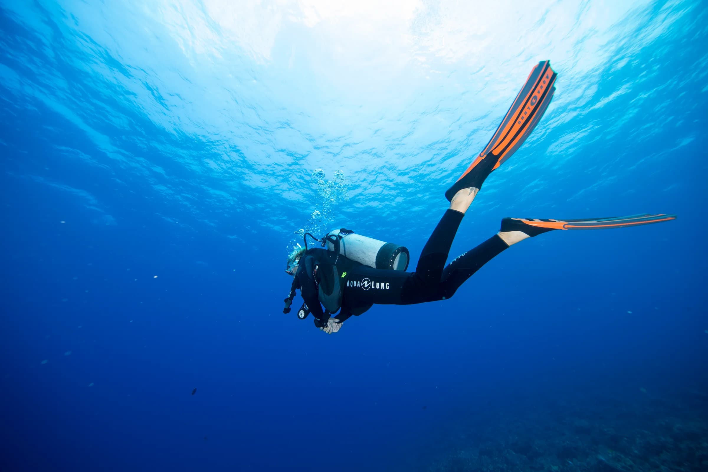 What Marine Life Can You Expect?