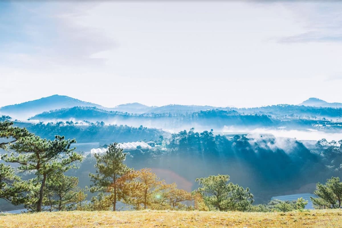 Why Cloud Hunting in Da Lat Is More Than Just a Photo Opportunity