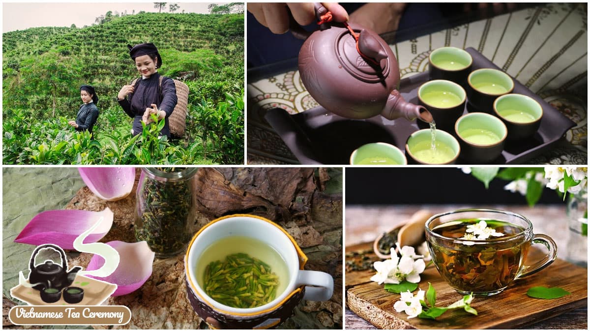 Popular Places to Experience a Local Tea Ceremony in Hoi An