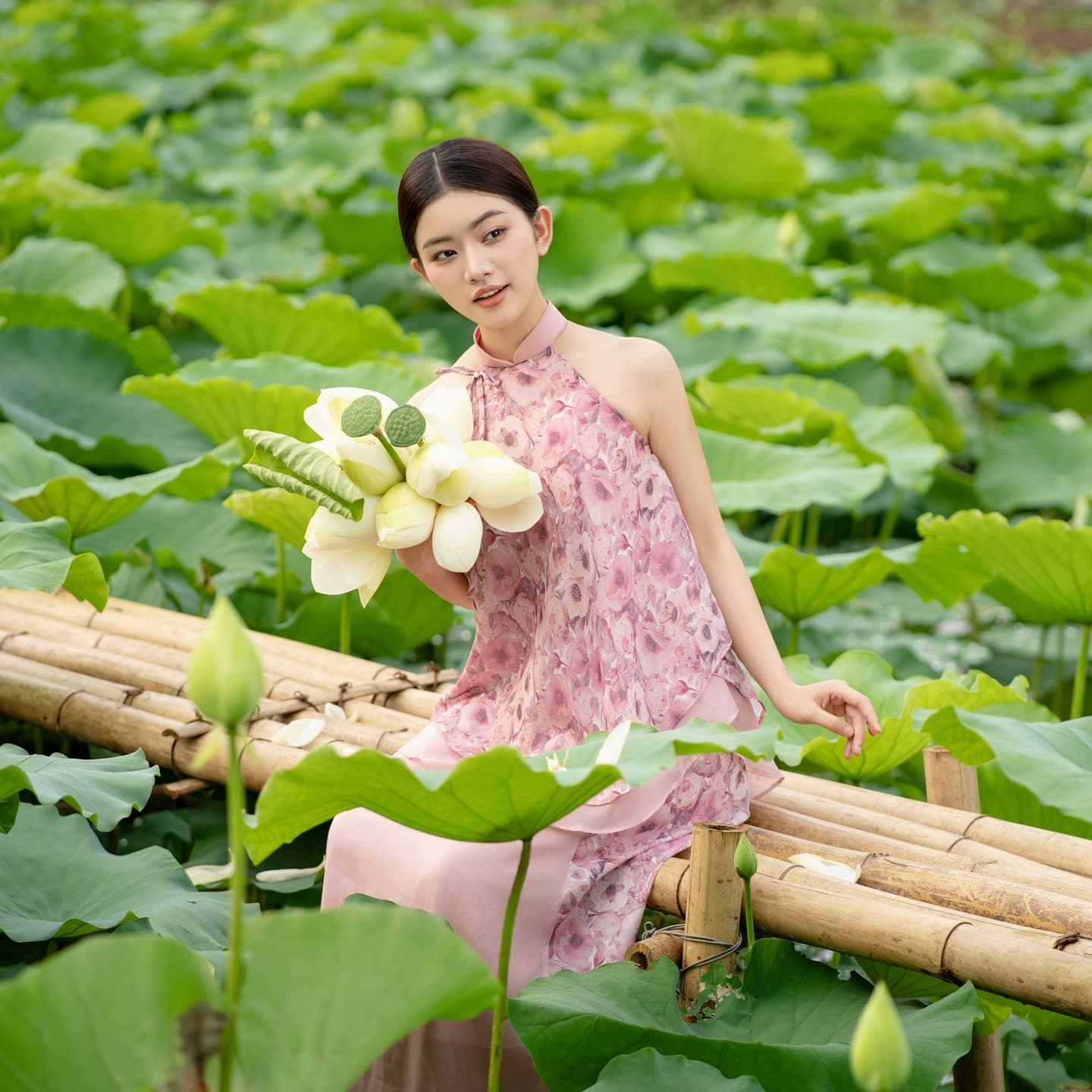 Top Locations for Lotus Pond Photoshoot Vietnam